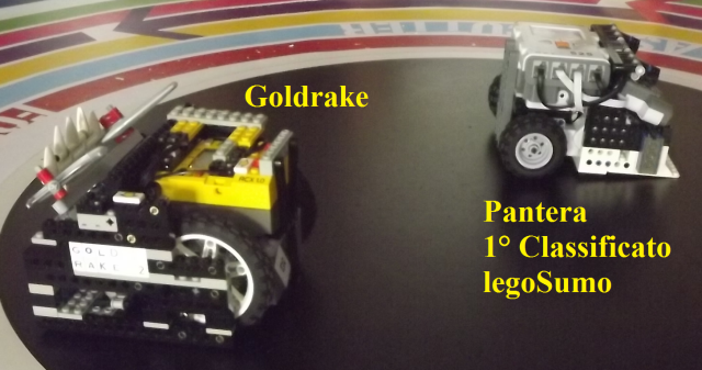 LEGO sumo