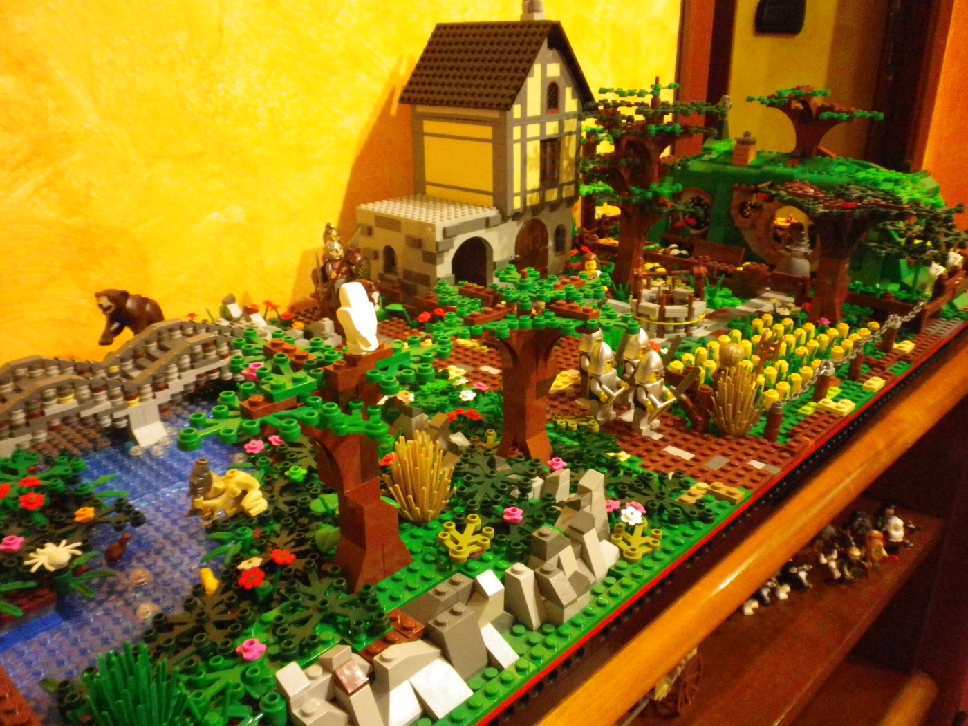 1164.jpg