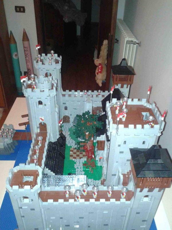 2449.jpg
