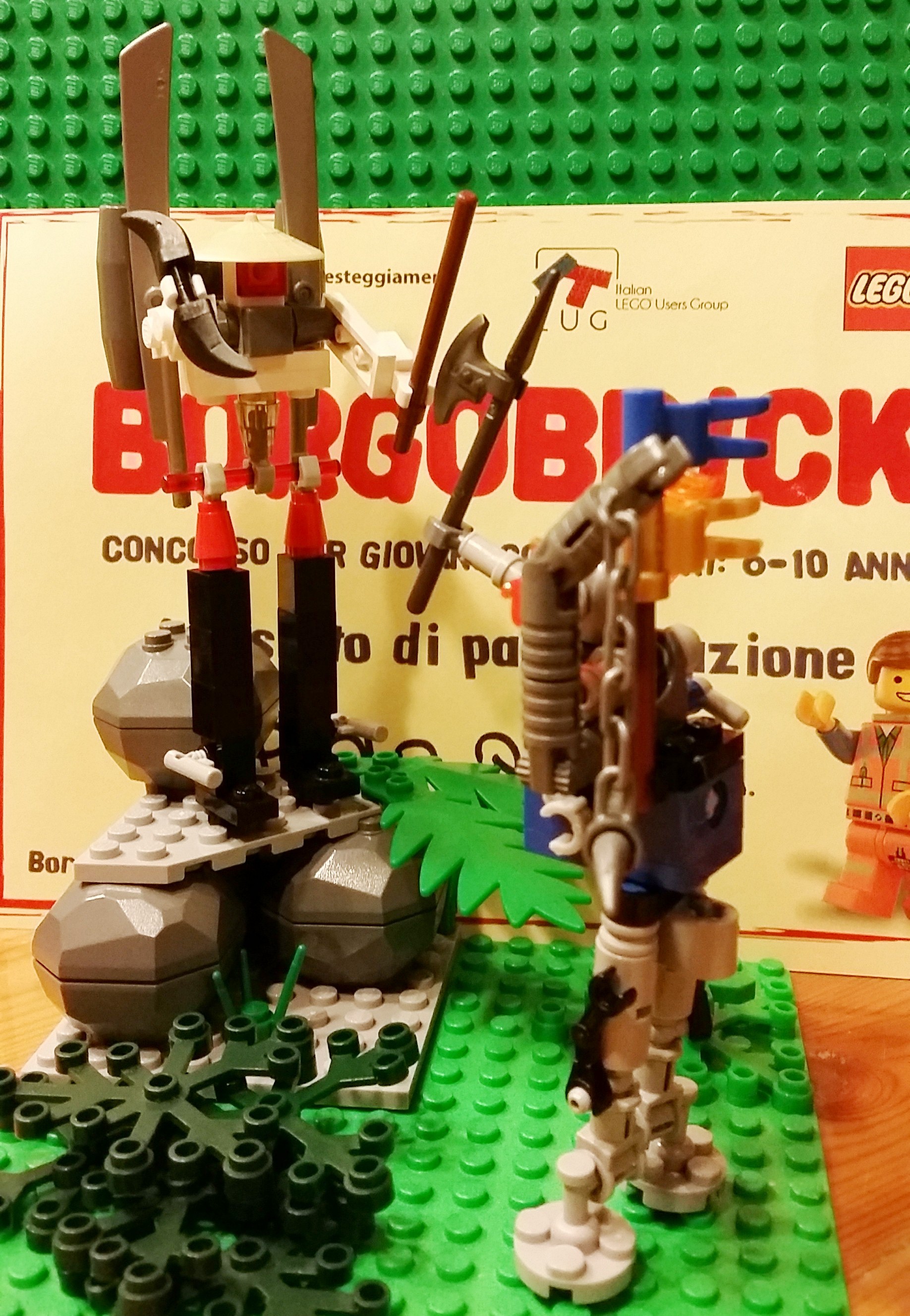 3747.jpg