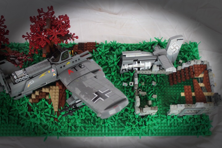 3846.jpg