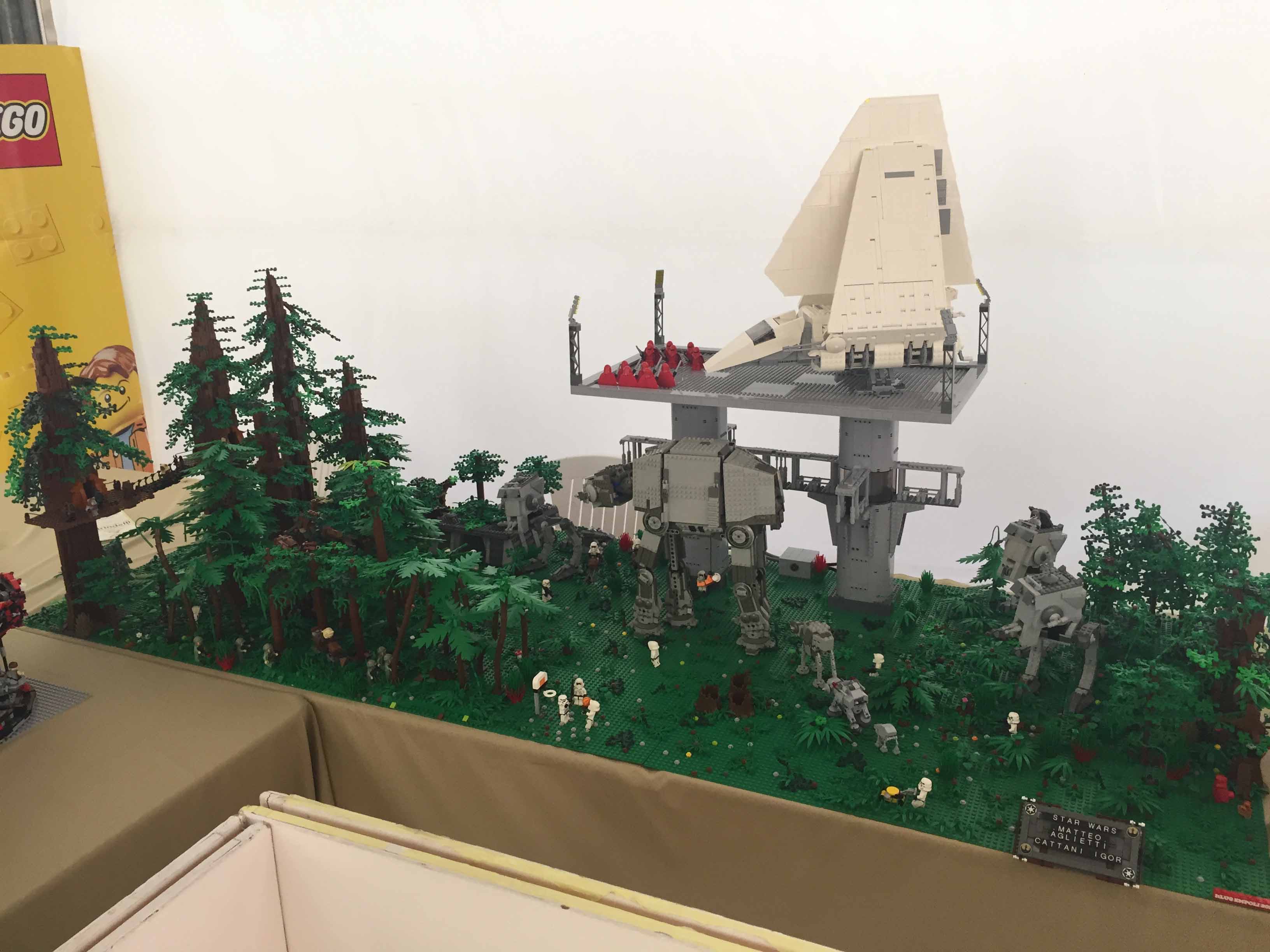 5316.jpg