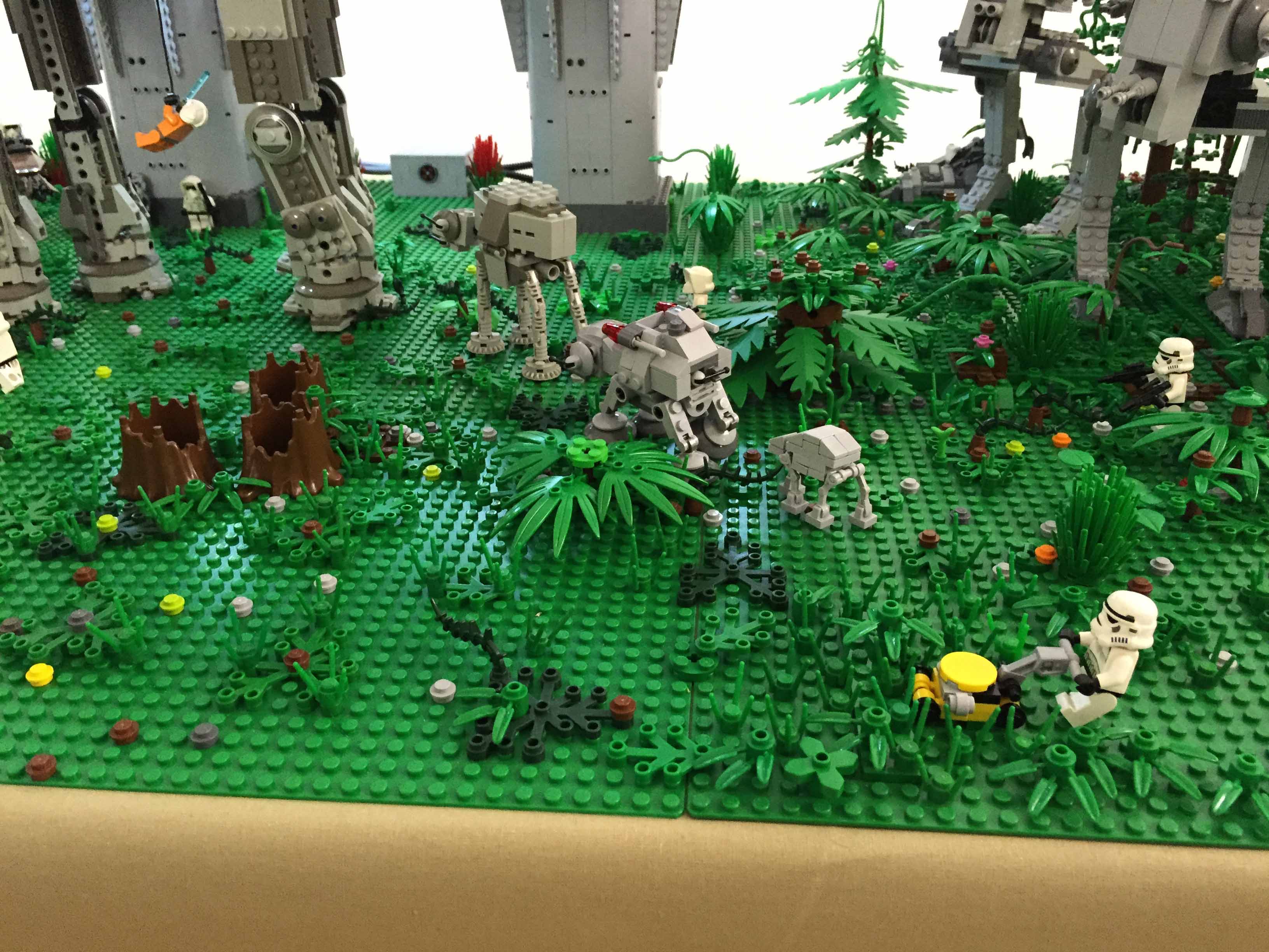 5336.jpg