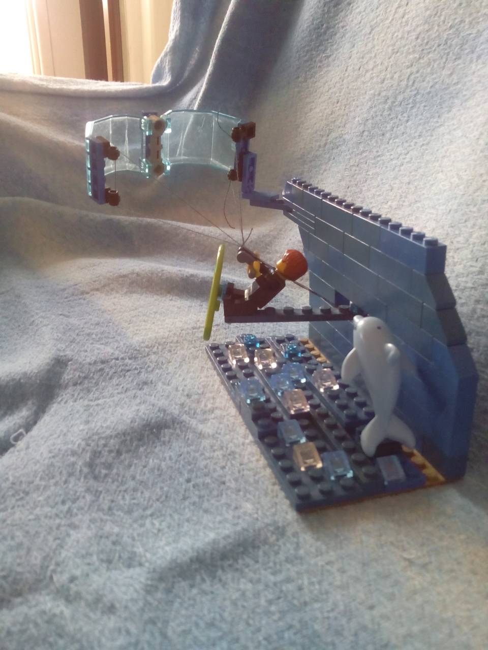 5559.jpg