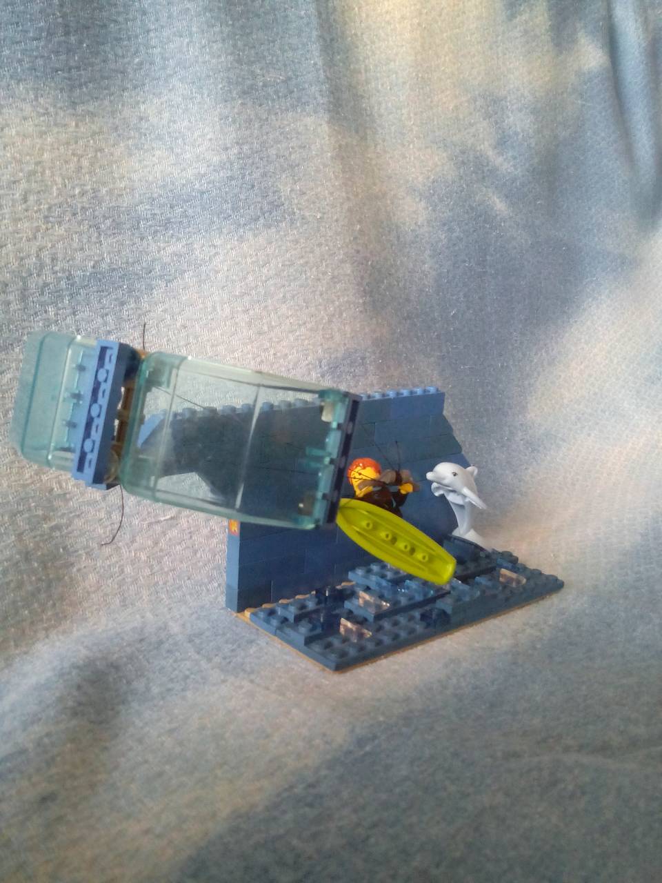 5561.jpg