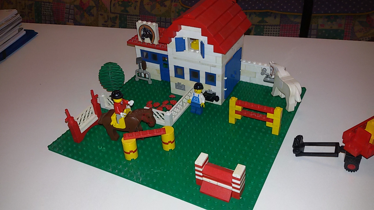 6782.jpg