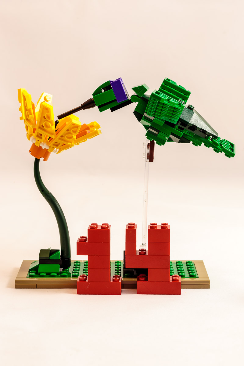 7582.jpg