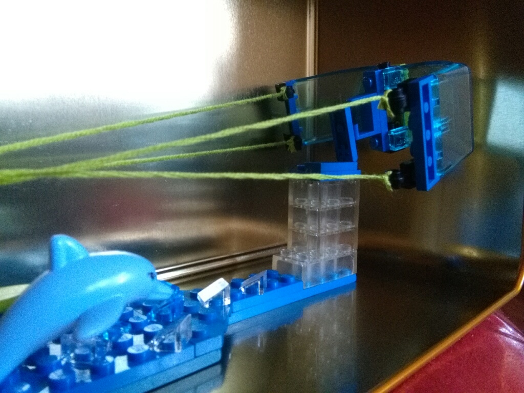 7651.jpg