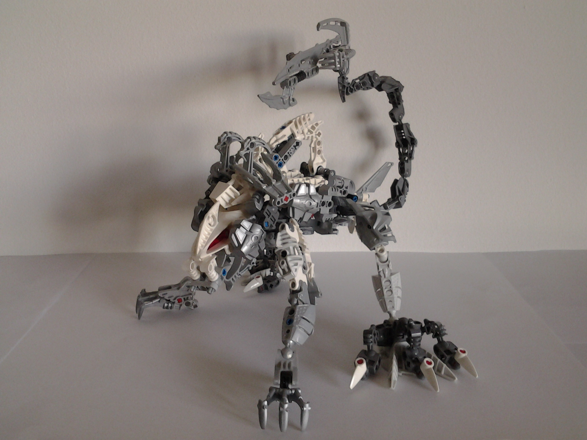 7769.jpg
