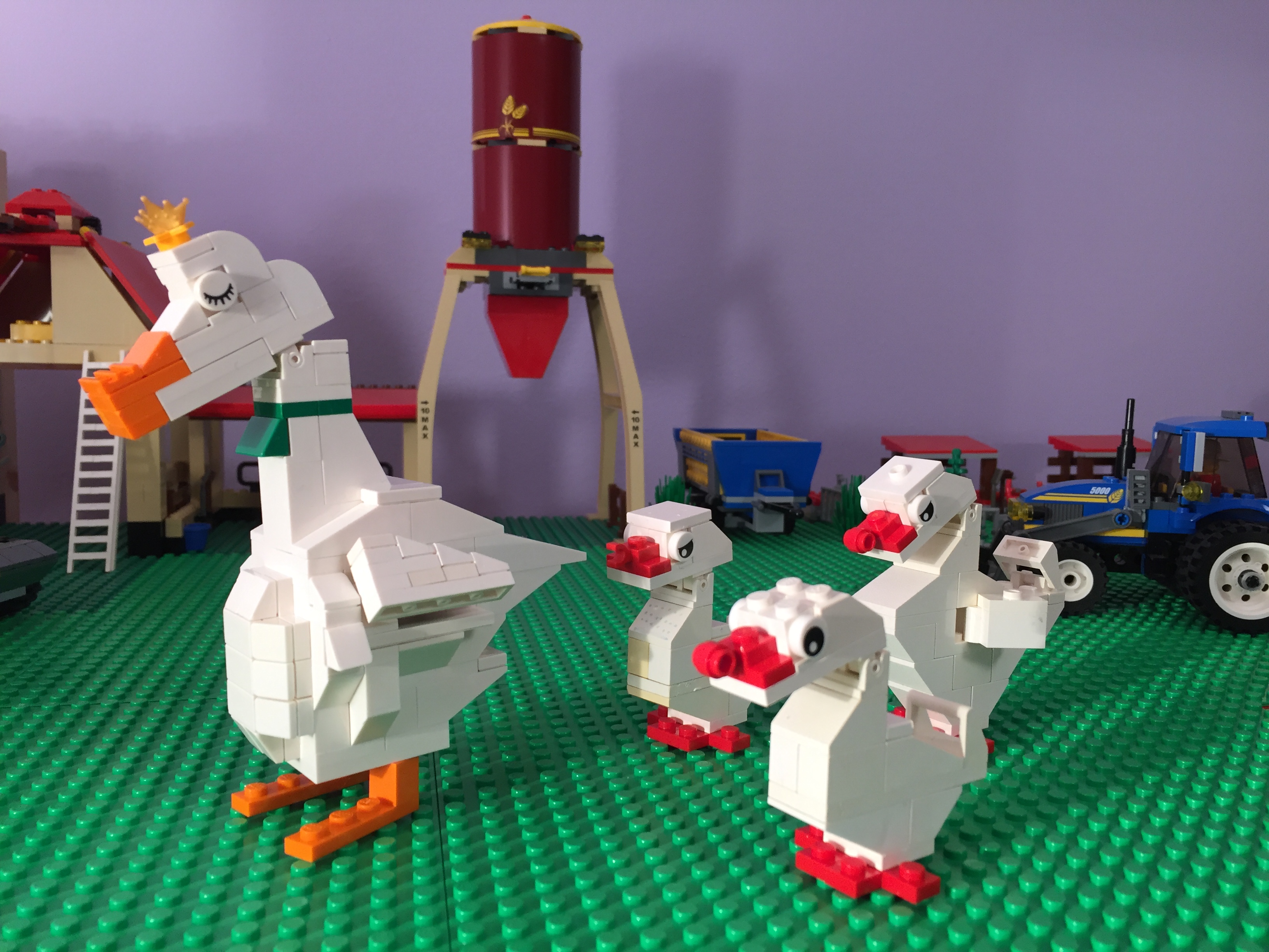 7872.jpg
