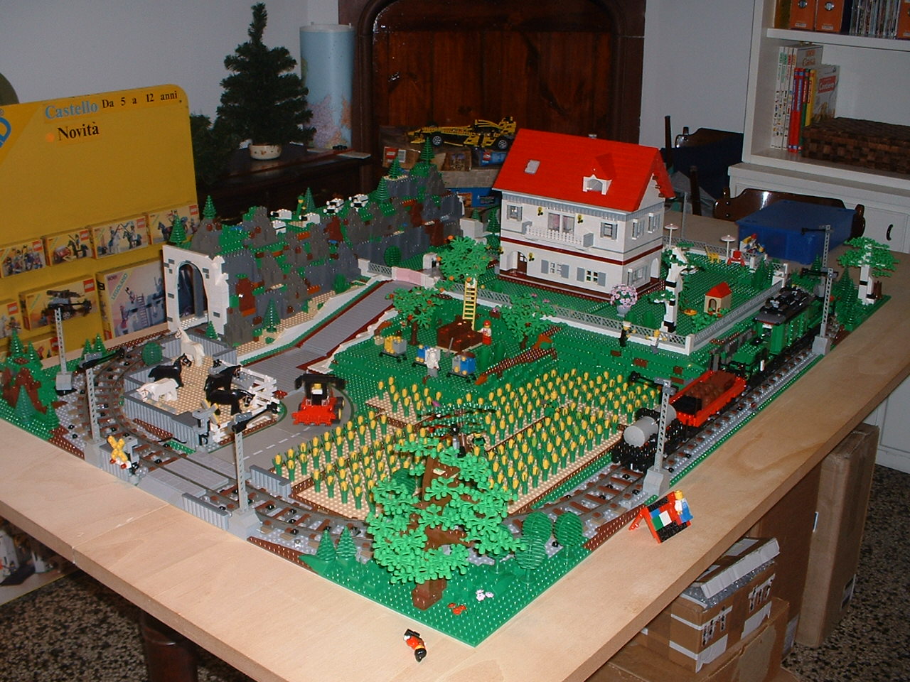 8605.jpg