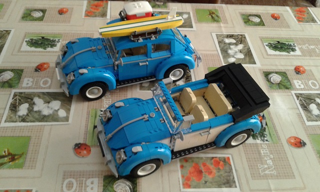 8955.jpg