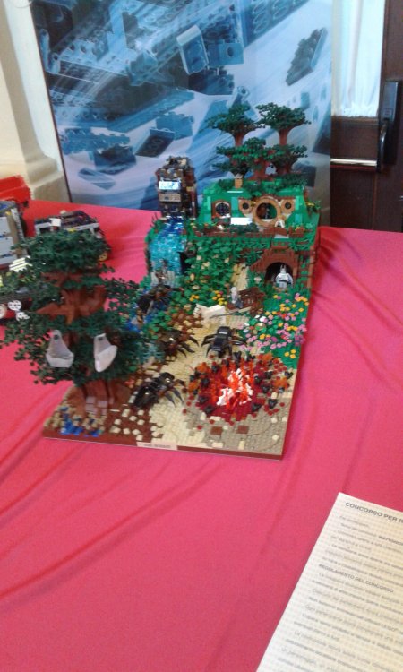 20170528_085114.jpg