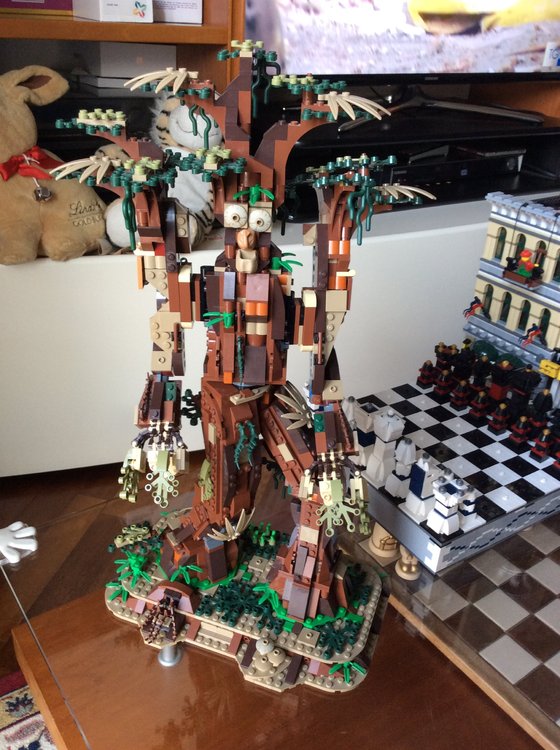 18612949-F2E3-4559-8999-4E5B026AEBC5.jpeg