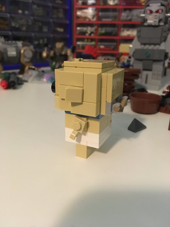 IMG_4562.JPG