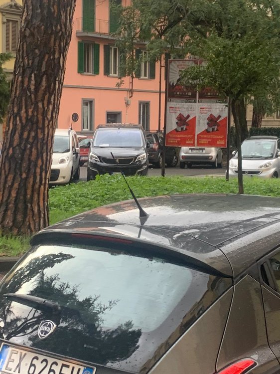 IMG-20191106-WA0015.jpg