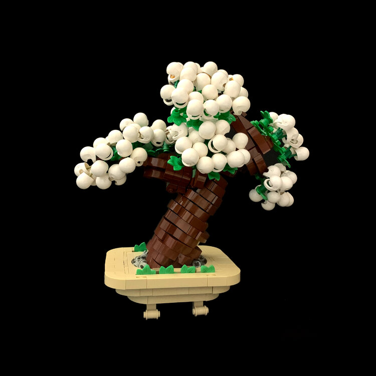 1786535919_Bonsai2.thumb.jpg.f25ddcd7ccd0d22114aab7feb2dbaf28.jpg