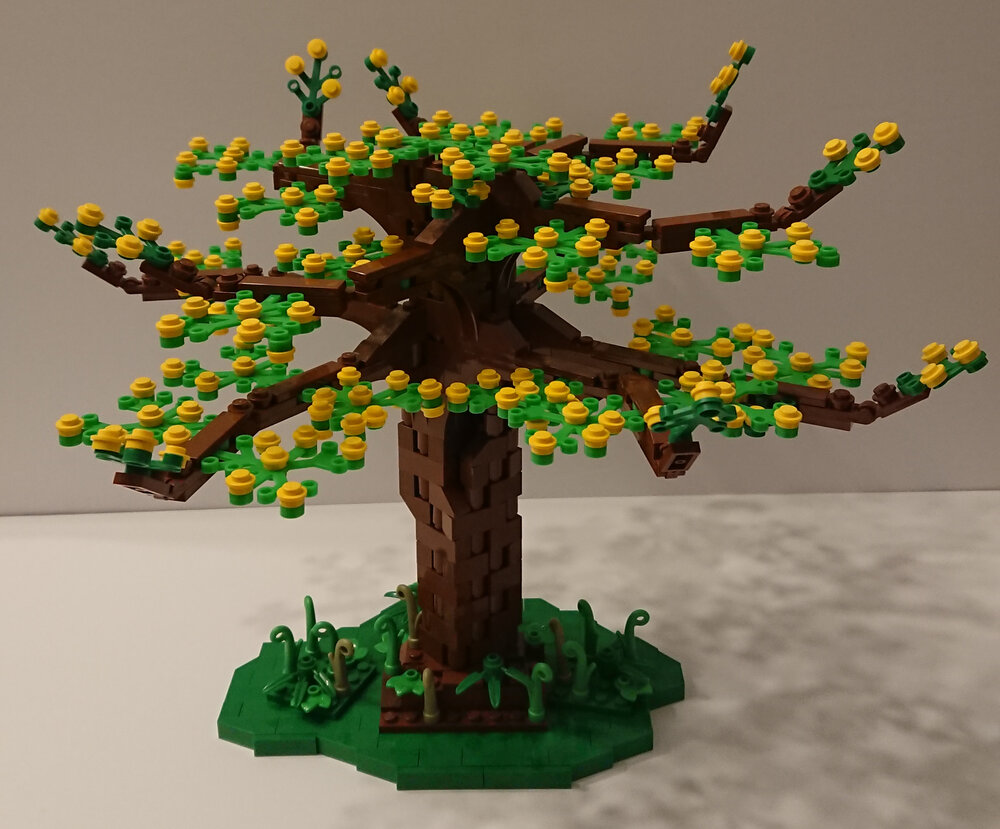 02_Mimosa.thumb.JPG.2d0907e600f31191f5de31966473d8e1.JPG