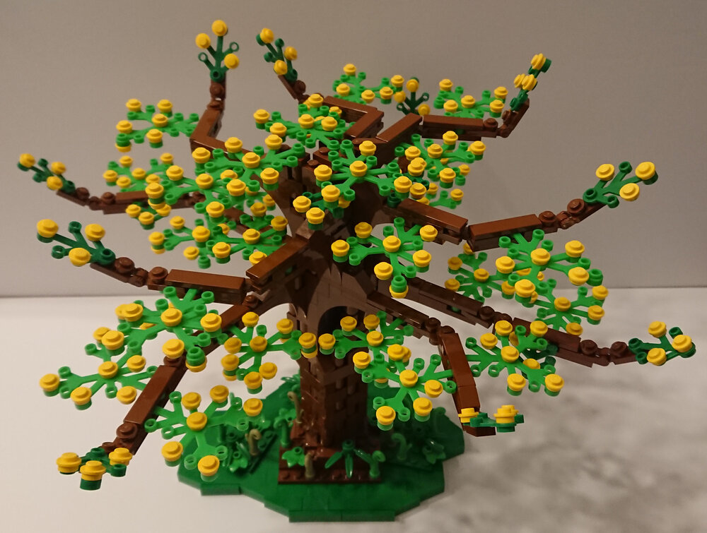 03_Mimosa.thumb.JPG.49961a60729b6fc48f8041cc467ddf74.JPG