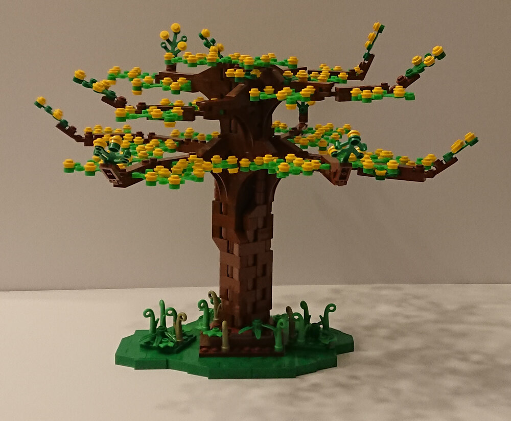 06_Mimosa.thumb.JPG.2d685406b1fa04d451269810c0d4de38.JPG