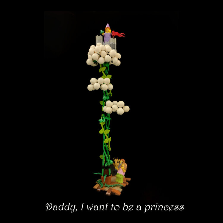 70651838_princessOK.thumb.jpeg.0f3c33be485b679809868656e5d720bd.jpeg